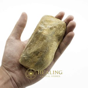 Asem Wood Fossilized - Type A2 Magickal Crystals Ritual Power Stones Ritual Crystals Crystals Talismans Stones Talisman Crystals Amulet stones spiritualism metaphysics occult psychic