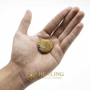 Dewadaru Wood Pearl - Type A1 Talismanic Stones Amulet Stones Healing Stones Spiritual Crystals Bezoar Stones Bezoar Crystals Healing Bezoar Stones Animal Totem Stones, Power Animal Stones mystical shaman shamanic spiritual spiritualism metaphysics occult psychic