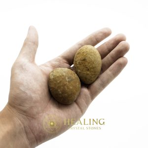 Dewadaru Wood Pearl - Type A2 Talismanic Stones Amulet Stones Healing Stones Spiritual Crystals Bezoar Stones Bezoar Crystals Healing Bezoar Stones Animal Totem Stones, Power Animal Stones mystical shaman shamanic spiritual spiritualism metaphysics occult psychic