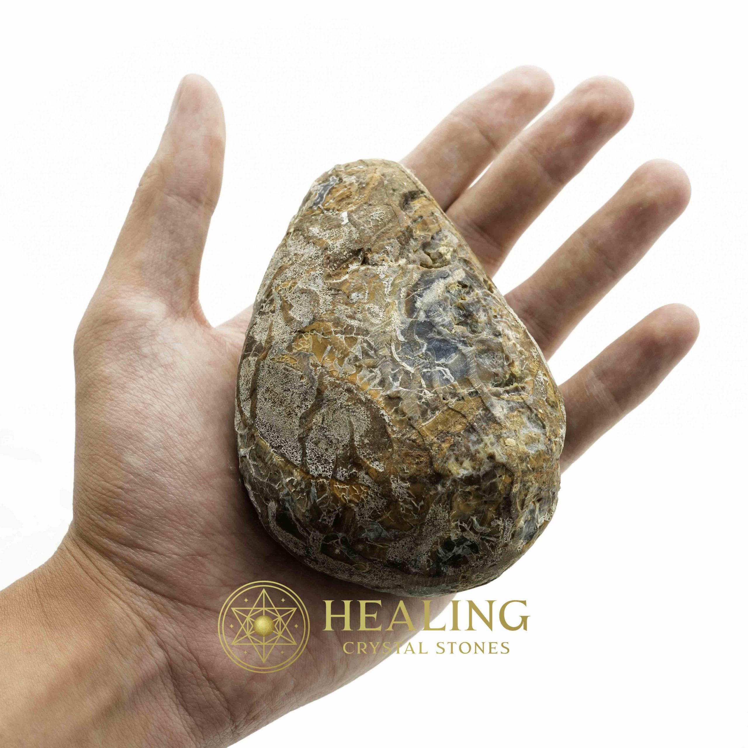 Dewadaru Wood Pearl - Type A5 Talismanic Stones Amulet Stones Healing Stones Spiritual Crystals Bezoar Stones Bezoar Crystals Healing Bezoar Stones Animal Totem Stones, Power Animal Stones mystical shaman shamanic spiritual spiritualism metaphysics occult psychic