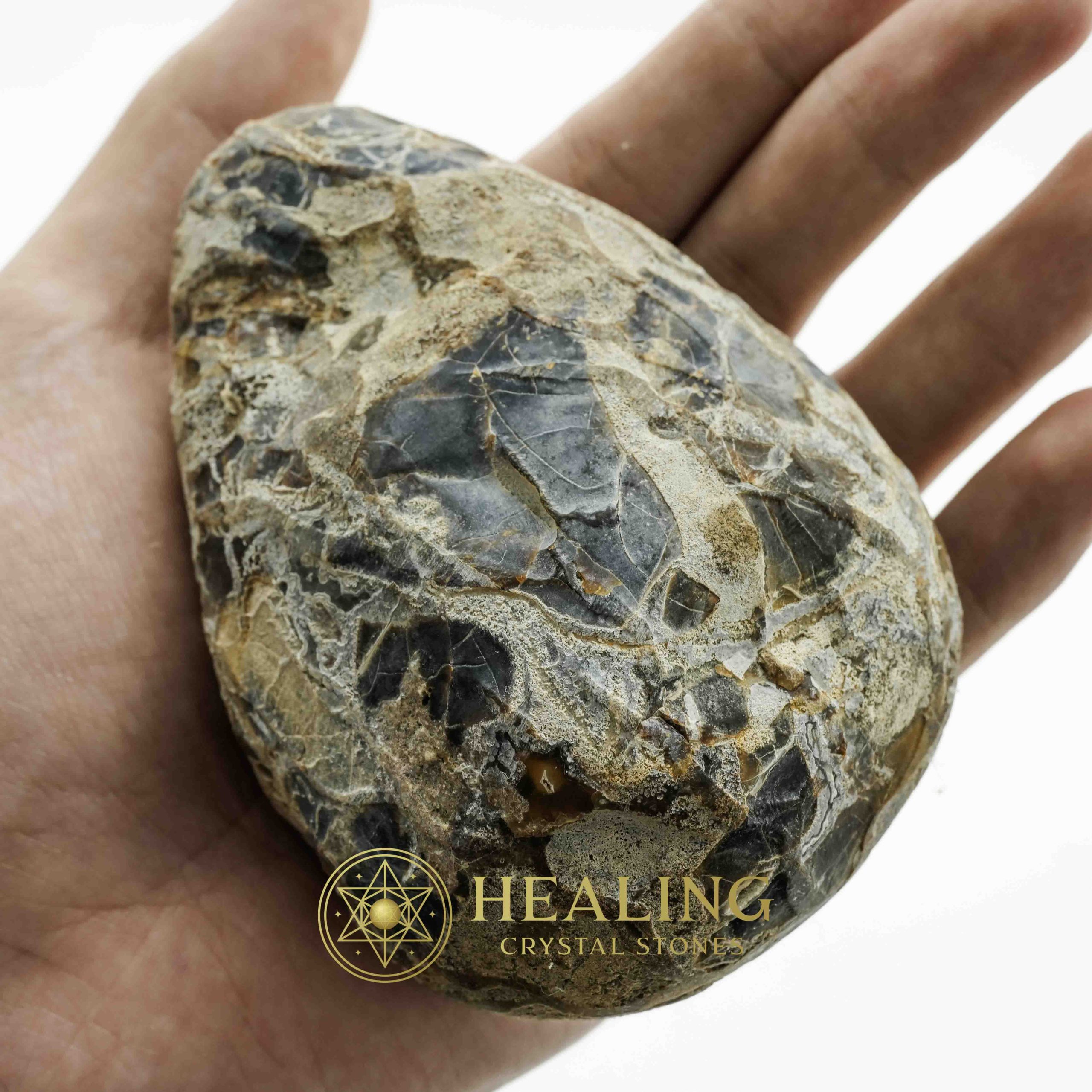 Dewadaru Wood Pearl - Type A5 Talismanic Stones Amulet Stones Healing Stones Spiritual Crystals Bezoar Stones Bezoar Crystals Healing Bezoar Stones Animal Totem Stones, Power Animal Stones mystical shaman shamanic spiritual spiritualism metaphysics occult psychic