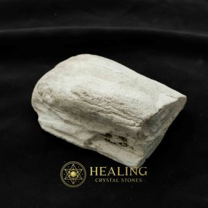 Dewadaru Wood Fossil - Type B3 Talismanic Stones Amulet Stones Healing Stones Spiritual Crystals Bezoar Stones Bezoar Crystals Healing Bezoar Stones Animal Totem Stones, Power Animal Stones mystical shaman shamanic spiritual spiritualism metaphysics occult psychic