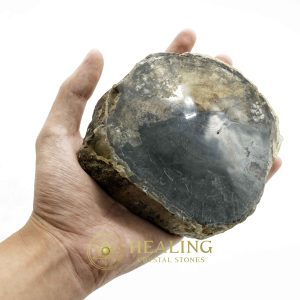 Gaharu / Agarwood Fossilized - Type C Talismanic Stones Amulet Stones Healing Stones Spiritual Crystals Bezoar Stones Bezoar Crystals Healing Bezoar Stones Animal Totem Stones, Power Animal Stones mystical shaman shamanic spiritual spiritualism metaphysics occult psychic