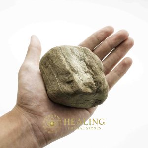 Gaharu / Agarwood Fossilized - Type F1 Talismanic Stones Amulet Stones Healing Stones Spiritual Crystals Bezoar Stones Bezoar Crystals Healing Bezoar Stones Animal Totem Stones, Power Animal Stones mystical shaman shamanic spiritual spiritualism metaphysics occult psychic