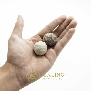 Gaharu/Agarwood Pearls - Type A2 Talismanic Stones Amulet Stones Healing Stones Spiritual Crystals Bezoar Stones Bezoar Crystals Healing Bezoar Stones Animal Totem Stones, Power Animal Stones mystical shaman shamanic spiritual spiritualism metaphysics occult psychic