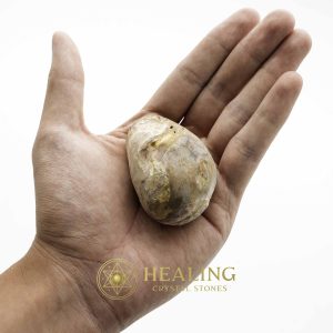 Gaharu/Agarwood Pearls - Type B1 Talismanic Stones Amulet Stones Healing Stones Spiritual Crystals Bezoar Stones Bezoar Crystals Healing Bezoar Stones Animal Totem Stones, Power Animal Stones mystical shaman shamanic spiritual spiritualism metaphysics occult psychic