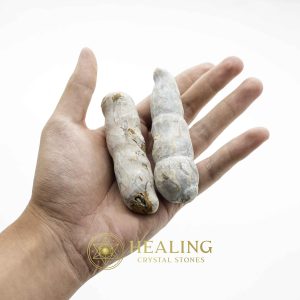 Gunosari Wood Pearl - Type B1 (White) Talismanic Stones Amulet Stones Healing Stones Spiritual Crystals Bezoar Stones Bezoar Crystals Healing Bezoar Stones Animal Totem Stones, Power Animal Stones mystical shaman shamanic spiritual spiritualism metaphysics occult psychic