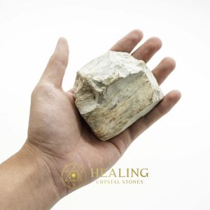 Nagasari Wood Fossil - Type C1 Talismanic Stones Amulet Stones Healing Stones Spiritual Crystals Bezoar Stones Bezoar Crystals Healing Bezoar Stones Animal Totem Stones, Power Animal Stones mystical shaman shamanic spiritual spiritualism metaphysics occult psychic