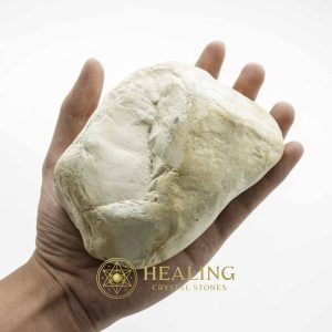 Nagasari Wood Fossil - Type C2 Talismanic Stones Amulet Stones Healing Stones Spiritual Crystals Bezoar Stones Bezoar Crystals Healing Bezoar Stones Animal Totem Stones, Power Animal Stones mystical shaman shamanic spiritual spiritualism metaphysics occult psychic