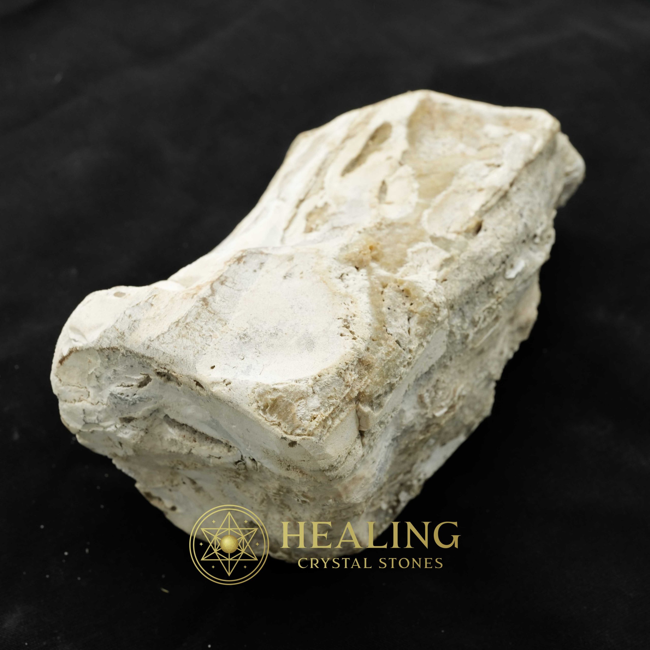 Nagasari Wood Fossil - Type C3 - Image 3