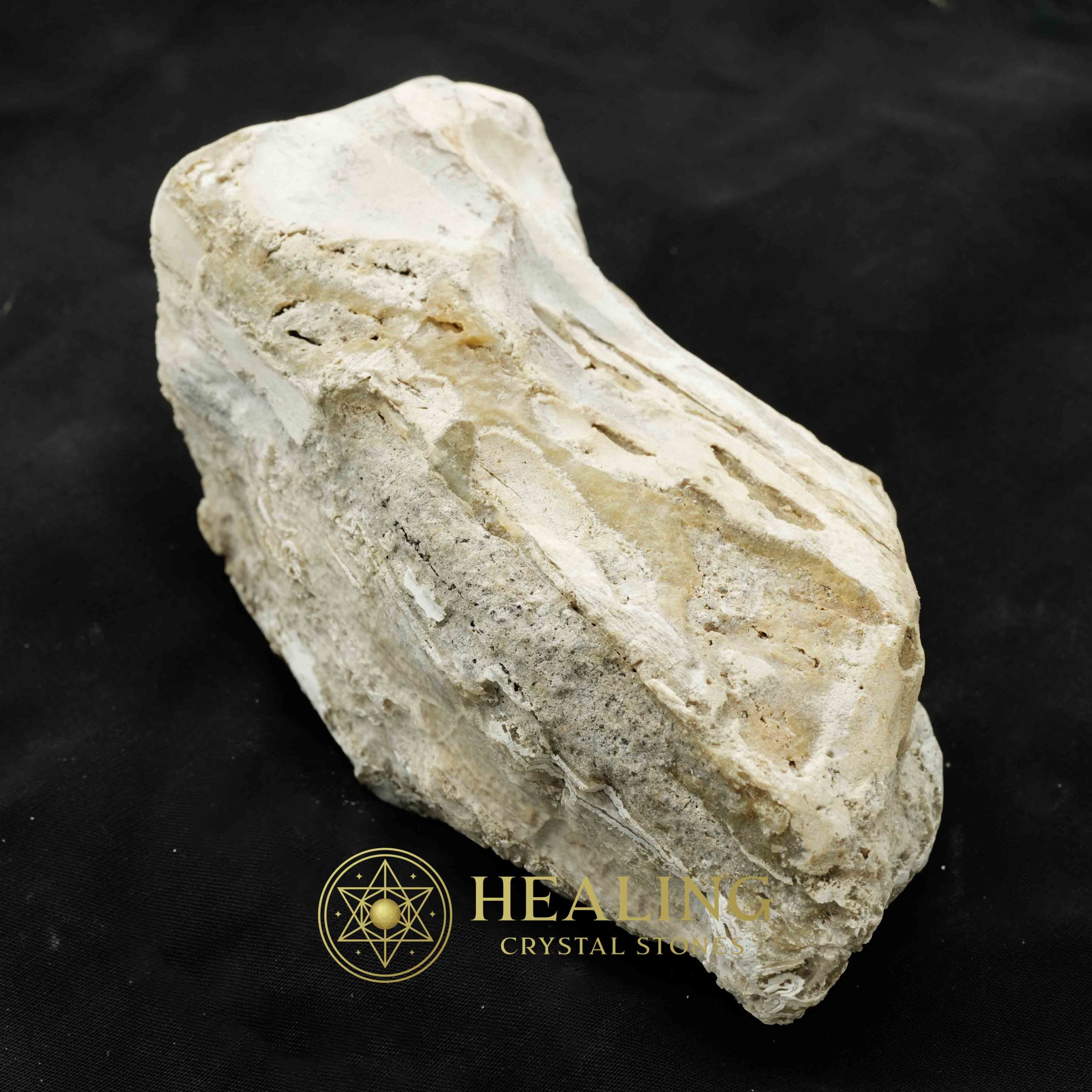 Nagasari Wood Fossil - Type C3 Talismanic Stones Amulet Stones Healing Stones Spiritual Crystals Bezoar Stones Bezoar Crystals Healing Bezoar Stones Animal Totem Stones, Power Animal Stones mystical shaman shamanic spiritual spiritualism metaphysics occult psychic