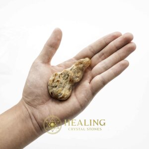 Sauro Pari Snake Horns - Type A3 - Magical Stones Magickal Stones Magickal Crystals Ritual Power Stones Ritual Crystals Crystals Talismans Stones Talisman Crystals Amulet stones mystical shaman shamanic spiritual spiritualism metaphysics occult psychic