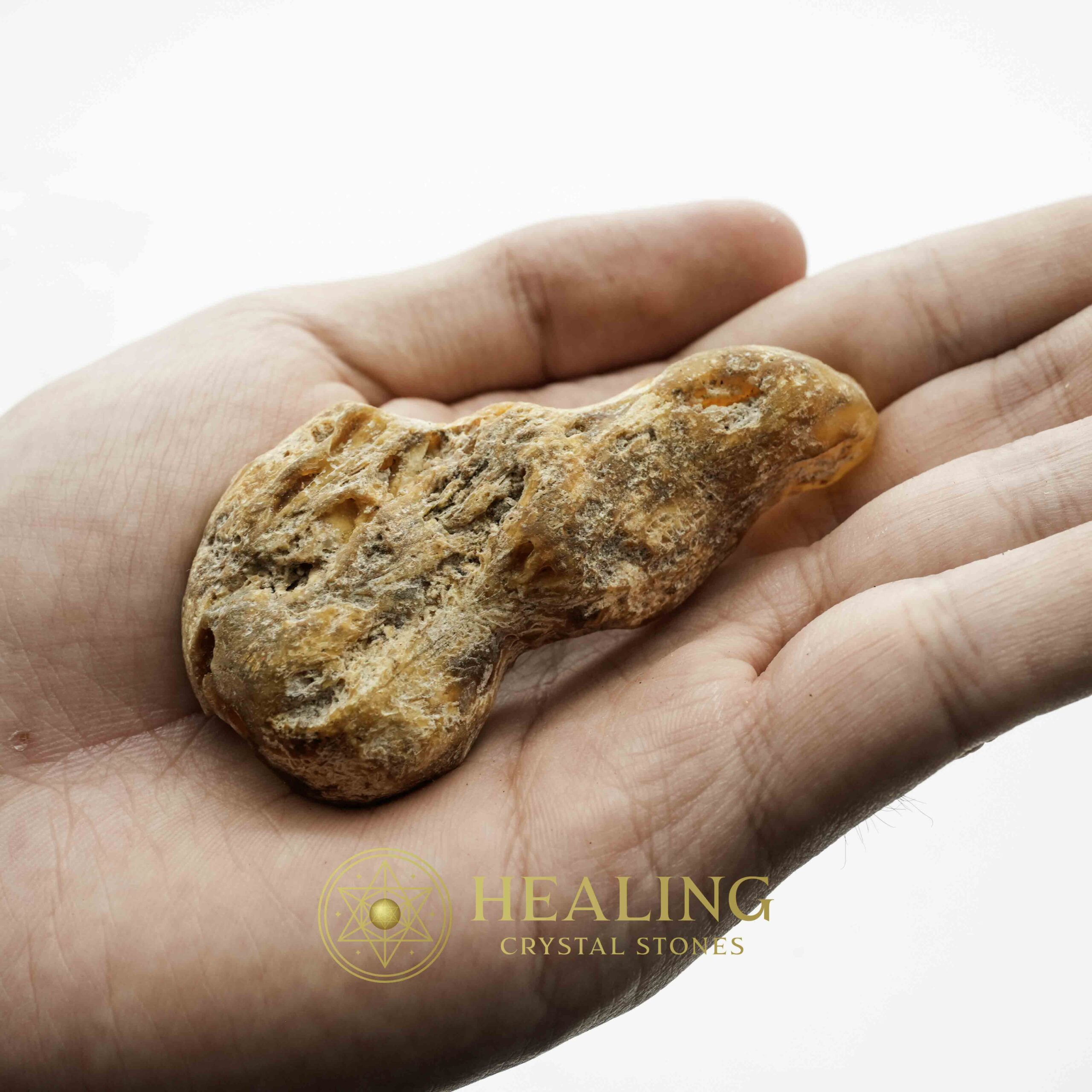 Sauro Pari Snake Horns - Type A3 - Magical Stones Magickal Stones Magickal Crystals Ritual Power Stones Ritual Crystals Crystals Talismans Stones Talisman Crystals Amulet stones mystical shaman shamanic spiritual spiritualism metaphysics occult psychic