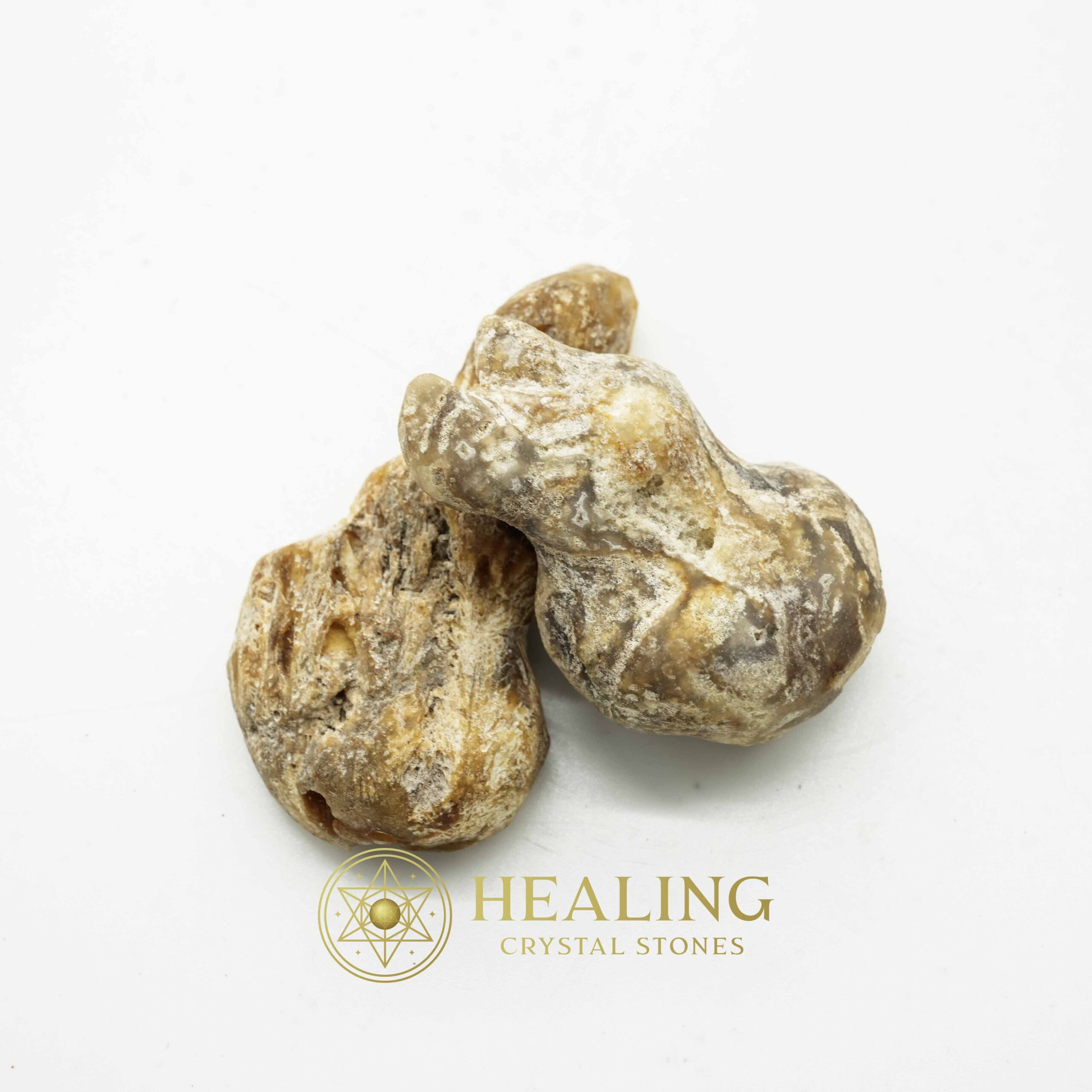 Sauro Pari Snake Horns - Type A3 - Magical Stones Magickal Stones Magickal Crystals Ritual Power Stones Ritual Crystals Crystals Talismans Stones Talisman Crystals Amulet stones mystical shaman shamanic spiritual spiritualism metaphysics occult psychic