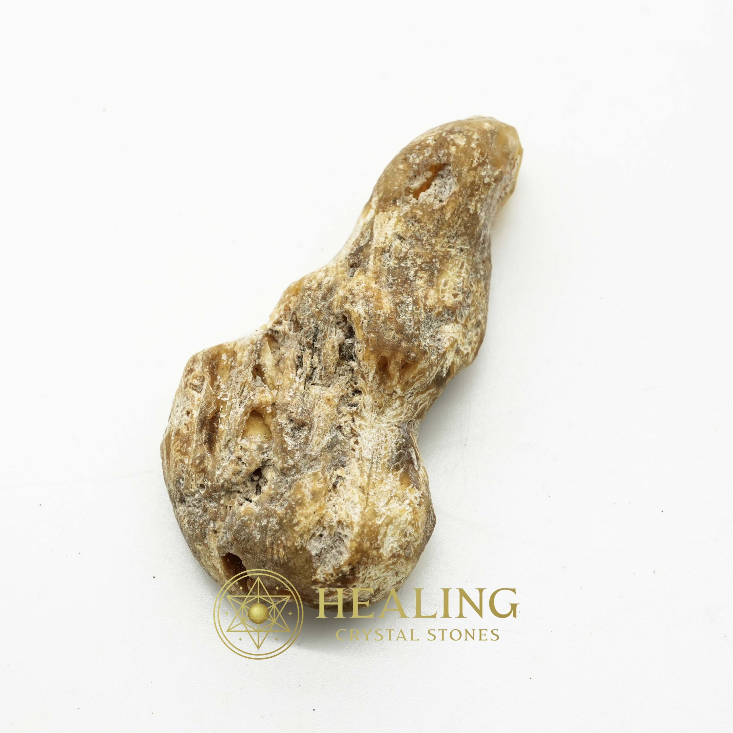 Sauro Pari Snake Horns - Type A3 - Magical Stones Magickal Stones Magickal Crystals Ritual Power Stones Ritual Crystals Crystals Talismans Stones Talisman Crystals Amulet stones mystical shaman shamanic spiritual spiritualism metaphysics occult psychic