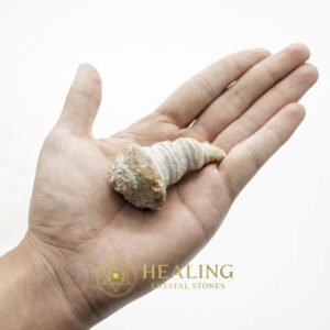 Sauro Pari Snake Horns - Type A4 - Magical Stones Magickal Stones Magickal Crystals Ritual Power Stones Ritual Crystals Crystals Talismans Stones Talisman Crystals Amulet stones mystical shaman shamanic spiritual spiritualism metaphysics occult psychic