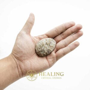 Fossil Leaf (Bringin) - Type G1 - Spiritual Crystals Bezoar Stones Bezoar Crystals Healing Bezoar Stones Animal Totem Stones, Power Animal Stones Magical Stones Magickal Stones Magickal Crystals Ritual Power Stones Ritual Crystals mystical shaman shamanic spiritual spiritualism metaphysics occult psychic