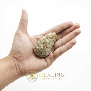 Fossil Leaf (Bringin) - Type G2 - Spiritual Crystals Bezoar Stones Bezoar Crystals Healing Bezoar Stones Animal Totem Stones, Power Animal Stones Magical Stones Magickal Stones Magickal Crystals Ritual Power Stones Ritual Crystals mystical shaman shamanic spiritual spiritualism metaphysics occult psychic