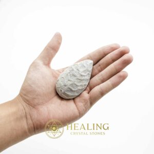 Fossil Leaf (Bringin) - Type G3 - Spiritual Crystals Bezoar Stones Bezoar Crystals Healing Bezoar Stones Animal Totem Stones, Power Animal Stones Magical Stones Magickal Stones Magickal Crystals Ritual Power Stones Ritual Crystals mystical shaman shamanic spiritual spiritualism metaphysics occult psychic