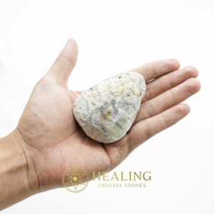 Fossil Leaf (Bringin) - Type G4 - Spiritual Crystals Bezoar Stones Bezoar Crystals Healing Bezoar Stones Animal Totem Stones, Power Animal Stones Magical Stones Magickal Stones Magickal Crystals Ritual Power Stones Ritual Crystals mystical shaman shamanic spiritual spiritualism metaphysics occult psychic