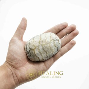 Fossil Leaf (Bringin) - Type G5 - Spiritual Crystals Bezoar Stones Bezoar Crystals Healing Bezoar Stones Animal Totem Stones, Power Animal Stones Magical Stones Magickal Stones Magickal Crystals Ritual Power Stones Ritual Crystals mystical shaman shamanic spiritual spiritualism metaphysics occult psychic