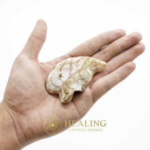 Fossil Leaf - Type A - Spiritual Crystals Bezoar Stones Bezoar Crystals Healing Bezoar Stones Animal Totem Stones, Power Animal Stones Magical Stones Magickal Stones Magickal Crystals Ritual Power Stones Ritual Crystals mystical shaman shamanic spiritual spiritualism metaphysics occult psychic