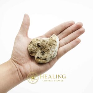 Fossil Leaf - Type B - Spiritual Crystals Bezoar Stones Bezoar Crystals Healing Bezoar Stones Animal Totem Stones, Power Animal Stones Magical Stones Magickal Stones Magickal Crystals Ritual Power Stones Ritual Crystals mystical shaman shamanic spiritual spiritualism metaphysics occult psychic