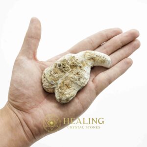 Fossil Leaf - Type D - Spiritual Crystals Bezoar Stones Bezoar Crystals Healing Bezoar Stones Animal Totem Stones, Power Animal Stones Magical Stones Magickal Stones Magickal Crystals Ritual Power Stones Ritual Crystals mystical shaman shamanic spiritual spiritualism metaphysics occult psychic