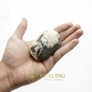 Fossilized Black Stigi - Type A1.2 - Spiritual Crystals Bezoar Stones Bezoar Crystals Healing Bezoar Stones Animal Totem Stones, Power Animal Stones Magical Stones Magickal Stones Magickal Crystals Ritual Power Stones Ritual Crystals mystical shaman shamanic spiritual spiritualism metaphysics occult psychic