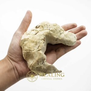 King Dragon Horns - Type A11 - Spiritual Crystals Bezoar Stones Bezoar Crystals Healing Bezoar Stones Animal Totem Stones, Power Animal Stones Magical Stones Magickal Stones Magickal Crystals Ritual Power Stones Ritual Crystals mystical shaman shamanic spiritual spiritualism metaphysics occult psychic