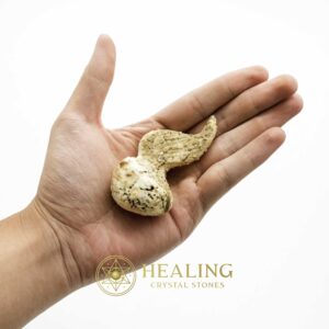 White Dragon Horn Fossil - Type F1 - Spiritual Crystals Bezoar Stones Bezoar Crystals Healing Bezoar Stones Animal Totem Stones, Power Animal Stones Magical Stones Magickal Stones Magickal Crystals Ritual Power Stones Ritual Crystals mystical shaman shamanic spiritual spiritualism metaphysics occult psychic