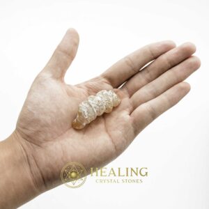 White Dragon Horn Fossil – Type A1 - Spiritual Crystals Bezoar Stones Bezoar Crystals Healing Bezoar Stones Animal Totem Stones, Power Animal Stones Magical Stones Magickal Stones Magickal Crystals Ritual Power Stones Ritual Crystals mystical shaman shamanic spiritual spiritualism metaphysics occult psychic