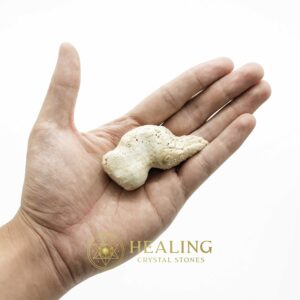 White Lion Horns - Type B3 - Spiritual Crystals Bezoar Stones Bezoar Crystals Healing Bezoar Stones Animal Totem Stones, Power Animal Stones Magical Stones Magickal Stones Magickal Crystals Ritual Power Stones Ritual Crystals mystical shaman shamanic spiritual spiritualism metaphysics occult psychic