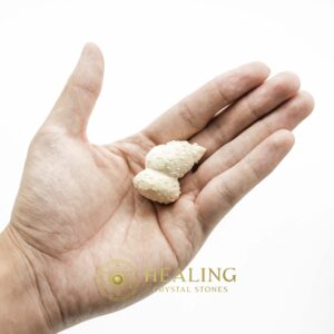 White Lion Horns - Type A5 - Spiritual Crystals Bezoar Stones Bezoar Crystals Healing Bezoar Stones Animal Totem Stones, Power Animal Stones Magical Stones Magickal Stones Magickal Crystals Ritual Power Stones Ritual Crystals mystical shaman shamanic spiritual spiritualism metaphysics occult psychic