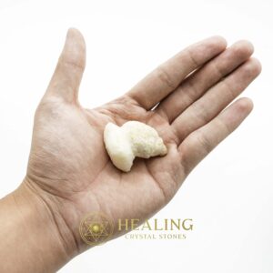 White Lion Horns - Type A9 - Spiritual Crystals Bezoar Stones Bezoar Crystals Healing Bezoar Stones Animal Totem Stones, Power Animal Stones Magical Stones Magickal Stones Magickal Crystals Ritual Power Stones Ritual Crystals mystical shaman shamanic spiritual spiritualism metaphysics occult psychic