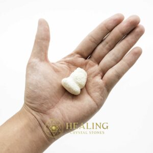 White Lion Horns - Type A13 - Spiritual Crystals Bezoar Stones Bezoar Crystals Healing Bezoar Stones Animal Totem Stones, Power Animal Stones Magical Stones Magickal Stones Magickal Crystals Ritual Power Stones Ritual Crystals mystical shaman shamanic spiritual spiritualism metaphysics occult psychic