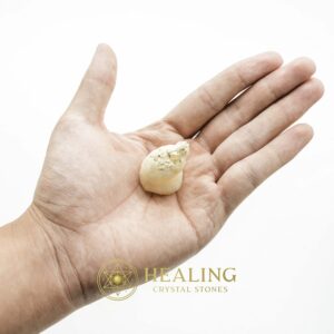 White Lion Horns - Type A14 - Spiritual Crystals Bezoar Stones Bezoar Crystals Healing Bezoar Stones Animal Totem Stones, Power Animal Stones Magical Stones Magickal Stones Magickal Crystals Ritual Power Stones Ritual Crystals mystical shaman shamanic spiritual spiritualism metaphysics occult psychic