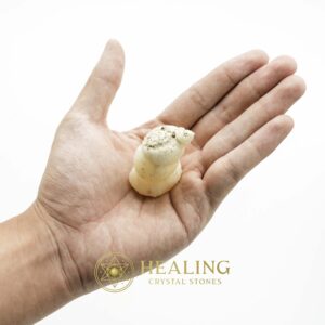 White Lion Horns - Type A2 - Spiritual Crystals Bezoar Stones Bezoar Crystals Healing Bezoar Stones Animal Totem Stones, Power Animal Stones Magical Stones Magickal Stones Magickal Crystals Ritual Power Stones Ritual Crystals mystical shaman shamanic spiritual spiritualism metaphysics occult psychic