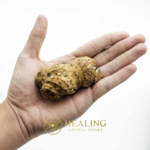 Wulan Dragon Horn - Type A2 - Spiritual Crystals Bezoar Stones Bezoar Crystals Healing Bezoar Stones Animal Totem Stones, Power Animal Stones Magical Stones Magickal Stones Magickal Crystals Ritual Power Stones Ritual Crystals mystical shaman shamanic spiritual spiritualism metaphysics occult psychic