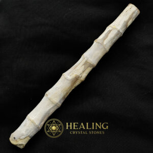 Bamboo Pearls