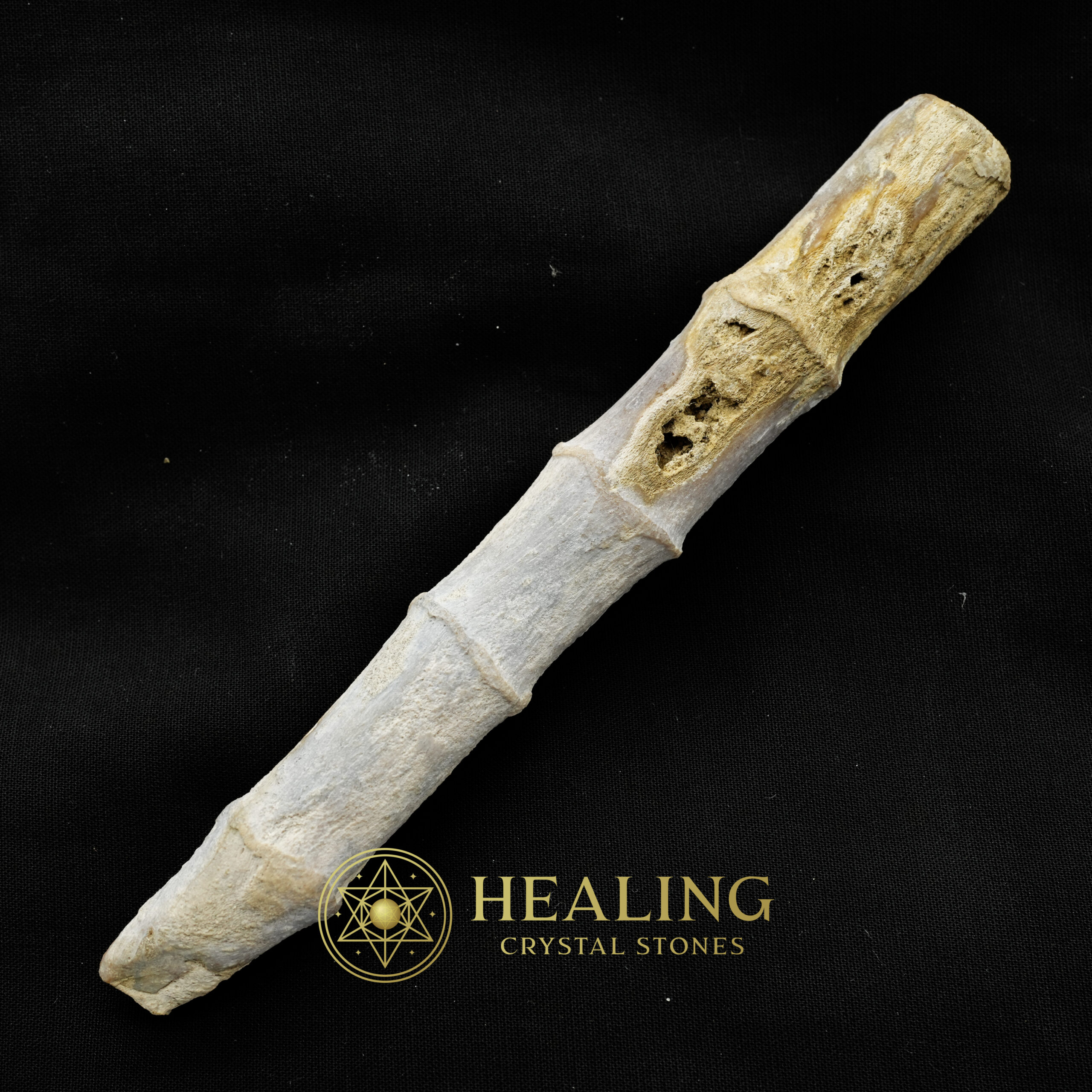 Fossilized Bamboo - Type A2 - Healing Crystals, Crystal Stones Mustika Pearls Mustika Stones Talismanic Stones Amulet Stones Healing Stones Spiritual Crystals Crystals Talismans Stones Talisman Crystals Amulet stones mystical shaman shamanic spiritual spiritualism metaphysics occult psychic