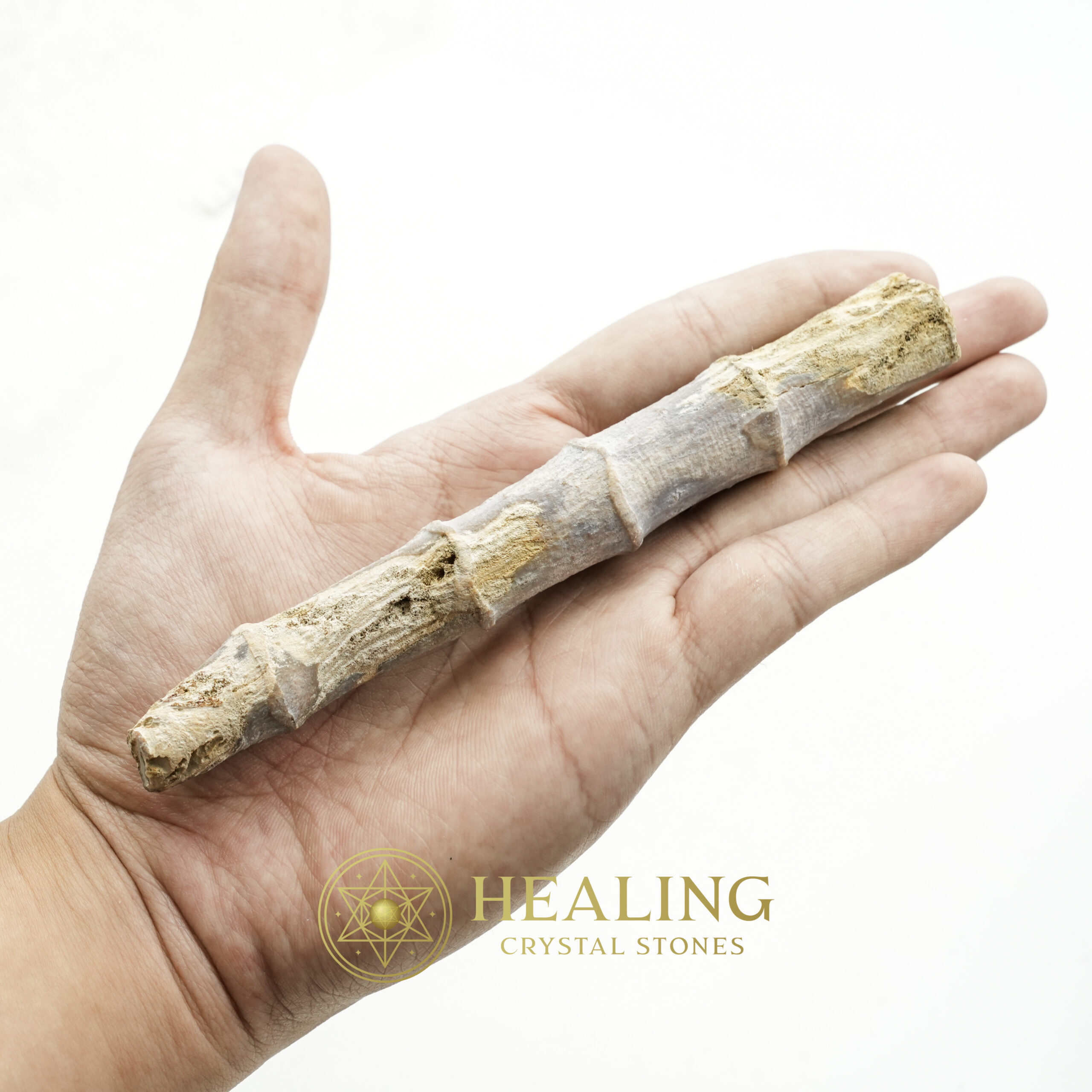 Fossilized Bamboo - Type A2 - Healing Crystals, Crystal Stones Mustika Pearls Mustika Stones Talismanic Stones Amulet Stones Healing Stones Spiritual Crystals Crystals Talismans Stones Talisman Crystals Amulet stones mystical shaman shamanic spiritual spiritualism metaphysics occult psychic
