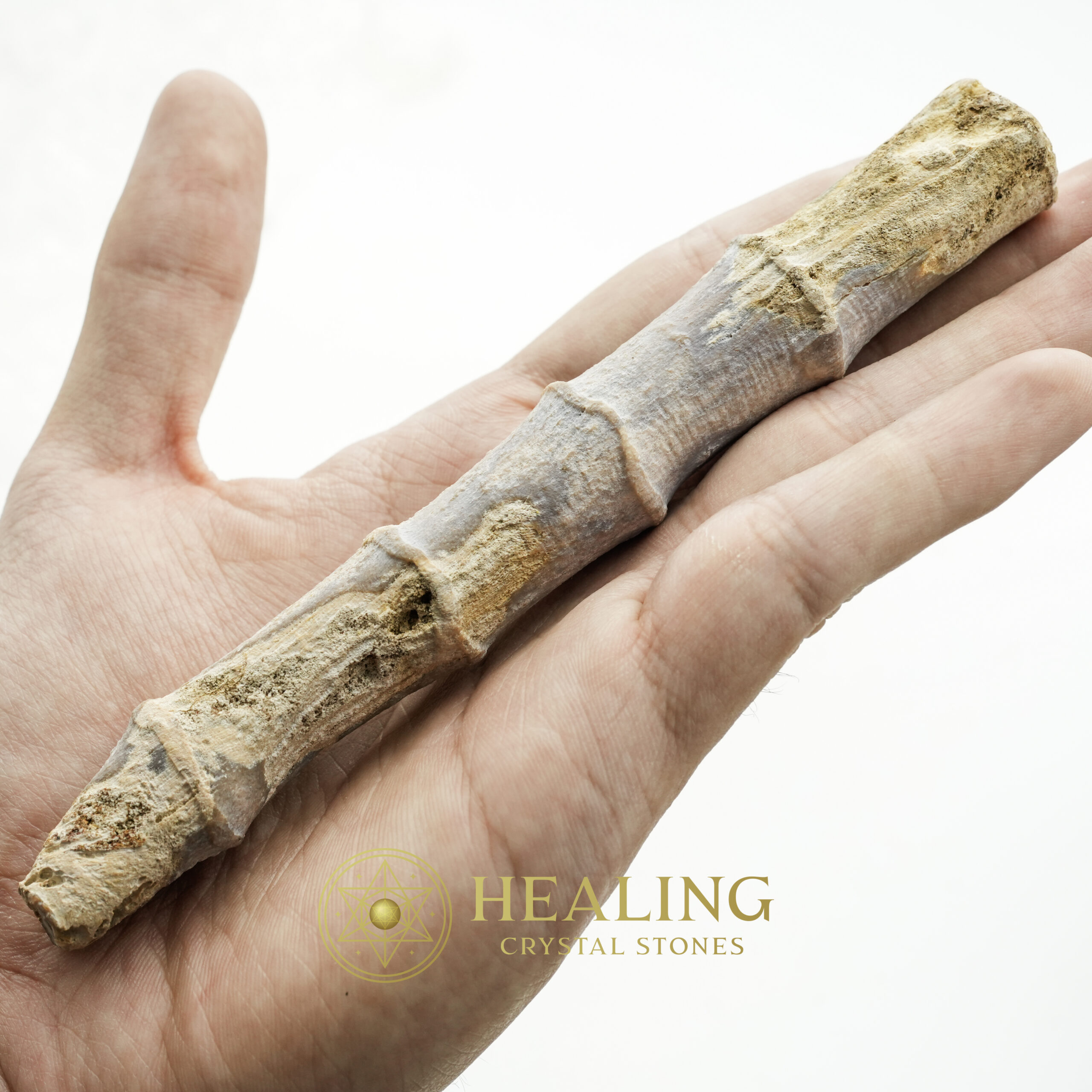 Fossilized Bamboo - Type A2 - Healing Crystals, Crystal Stones Mustika Pearls Mustika Stones Talismanic Stones Amulet Stones Healing Stones Spiritual Crystals Crystals Talismans Stones Talisman Crystals Amulet stones mystical shaman shamanic spiritual spiritualism metaphysics occult psychic