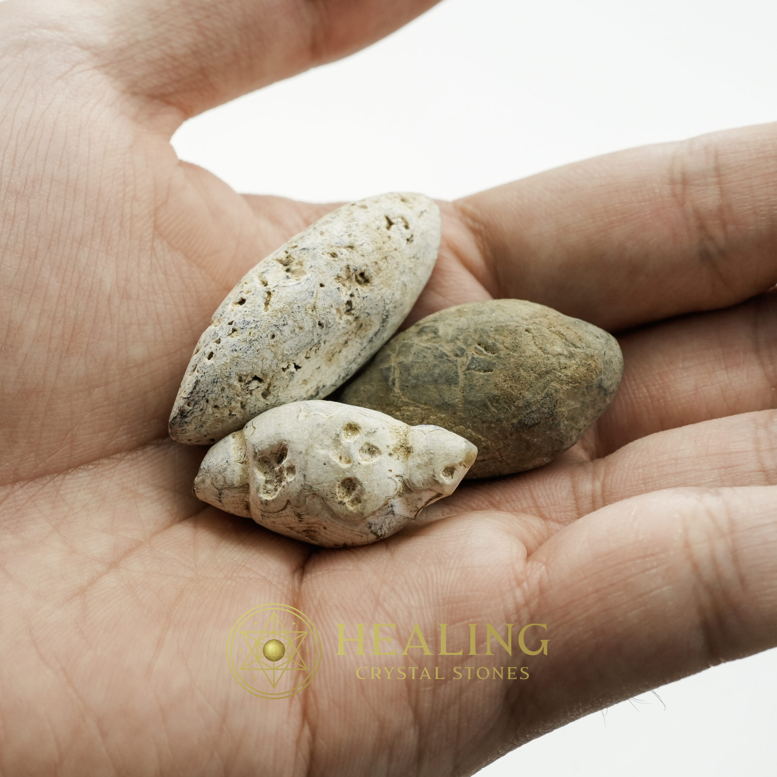 Heart of Banana Tree Pearl - Type A2 - Healing Crystals, Crystal Stones Mustika Pearls Mustika Stones Talismanic Stones Amulet Stones Healing Stones Spiritual Crystals Crystals Talismans Stones Talisman Crystals Amulet stones mystical shaman shamanic spiritual spiritualism metaphysics occult psychic