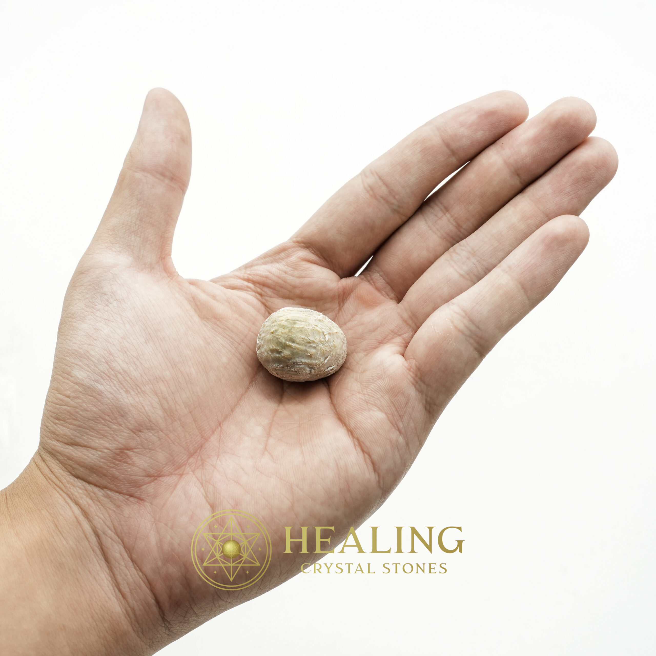 Belinjo Tree - Type A - Healing Crystals, Crystal Stones Mustika Pearls Mustika Stones Talismanic Stones Amulet Stones Healing Stones Spiritual Crystals Crystals Talismans Stones Talisman Crystals Amulet stones mystical shaman shamanic spiritual spiritualism metaphysics occult psychic