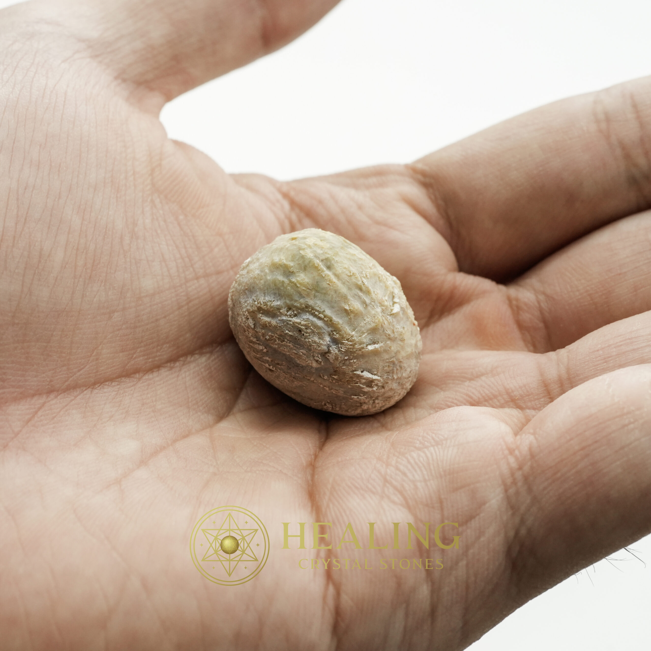 Belinjo Tree - Type A - Healing Crystals, Crystal Stones Mustika Pearls Mustika Stones Talismanic Stones Amulet Stones Healing Stones Spiritual Crystals Crystals Talismans Stones Talisman Crystals Amulet stones mystical shaman shamanic spiritual spiritualism metaphysics occult psychic