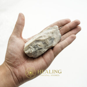 Kaboa Wood Fossilized - Type B1 - Healing Crystals, Crystal Stones Mustika Pearls Mustika Stones Talismanic Stones Amulet Stones Healing Stones Spiritual Crystals Crystals Talismans Stones Talisman Crystals Amulet stones mystical shaman shamanic spiritual spiritualism metaphysics occult psychic