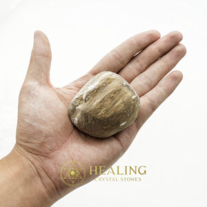Kaboa Wood Fossilized - Type B3 - Healing Crystals, Crystal Stones Mustika Pearls Mustika Stones Talismanic Stones Amulet Stones Healing Stones Spiritual Crystals Crystals Talismans Stones Talisman Crystals Amulet stones mystical shaman shamanic spiritual spiritualism metaphysics occult psychic
