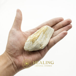 Kaboa Wood Fossilized - Type B4 - Healing Crystals, Crystal Stones Mustika Pearls Mustika Stones Talismanic Stones Amulet Stones Healing Stones Spiritual Crystals Crystals Talismans Stones Talisman Crystals Amulet stones mystical shaman shamanic spiritual spiritualism metaphysics occult psychic