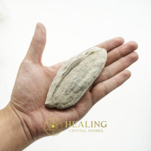 Kelor Wood Fossil - Type A1.1 - Healing Crystals, Crystal Stones Mustika Pearls Mustika Stones Talismanic Stones Amulet Stones Healing Stones Spiritual Crystals Crystals Talismans Stones Talisman Crystals Amulet stones mystical shaman shamanic spiritual spiritualism metaphysics occult psychic